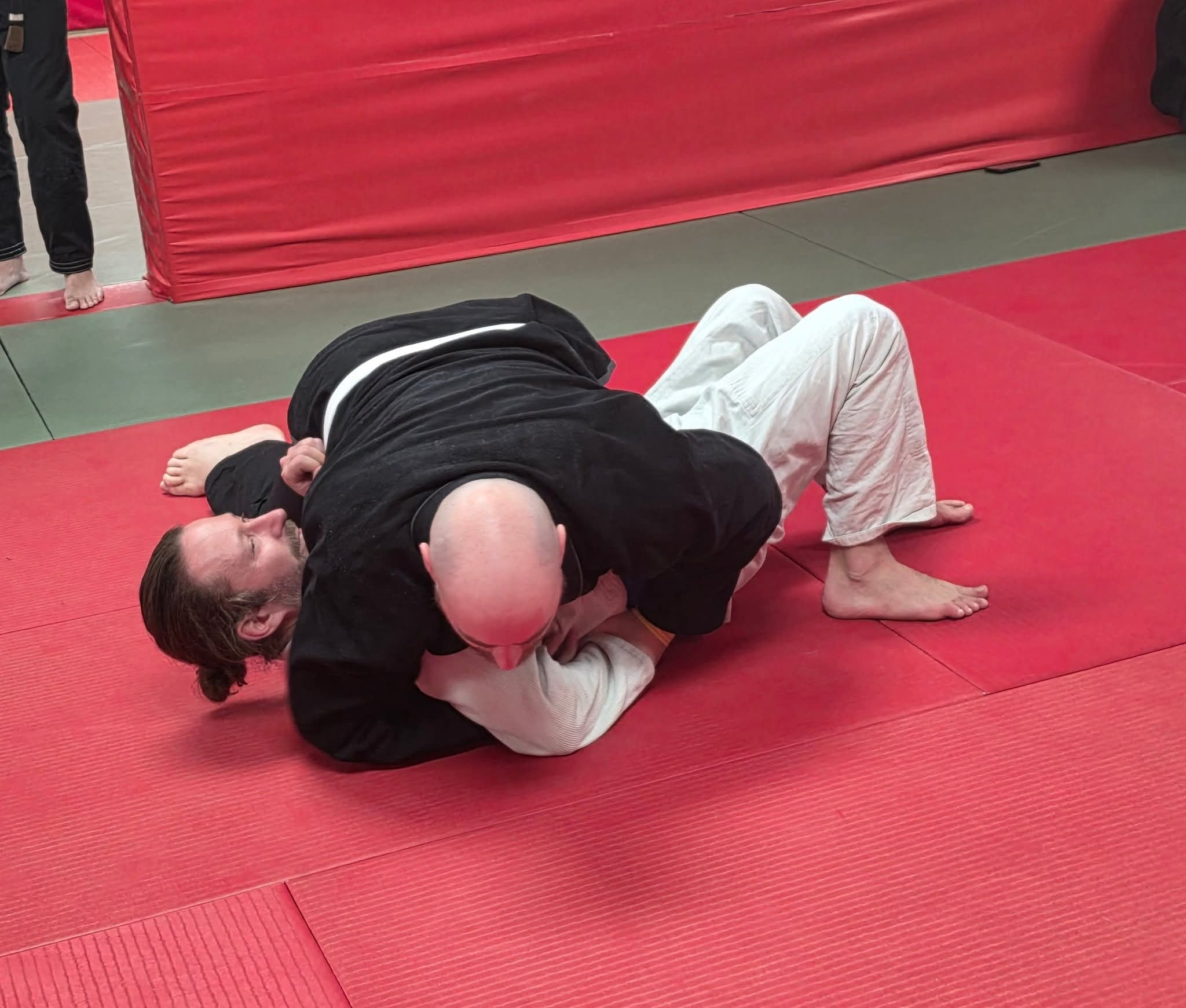 Adult BJJ Class
